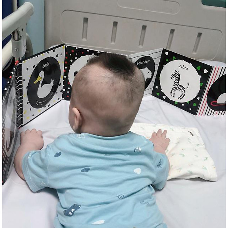 Kích Thích Thị Giác Black And White 1 - Ảnh 5