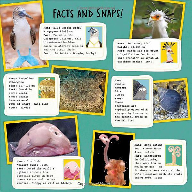 You're Called What? - Ảnh 7