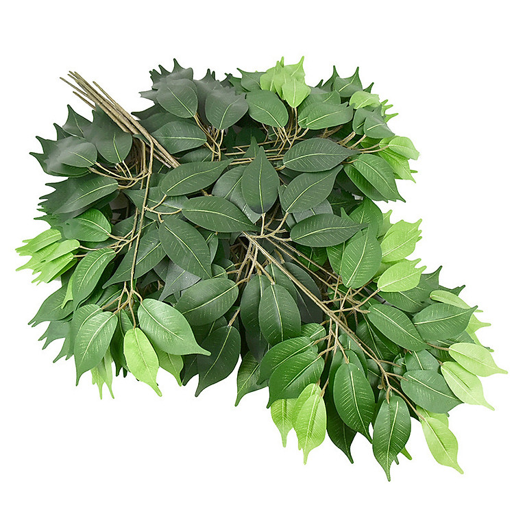 THANH LÝ lá si xanh combo 12 cành lá giả trang trí cắm cây giả SHIP HOẢ TỐC TPHCM