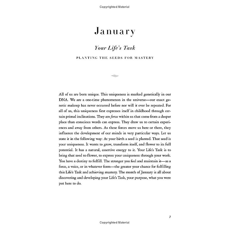 The Daily Laws - Ảnh 5