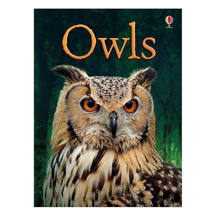 Sách Usborne Owls