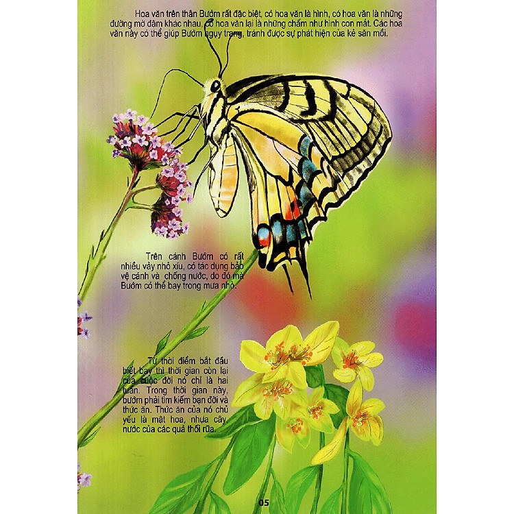 Thế Giới Động Vật Kì Thú - Ảnh 2