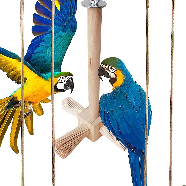 Wood Parrot Perch Tabletop Bird Perch Standing Bird Cage Toys Pole Bird Stand Branch for Budgies Parakeets Cockatiels