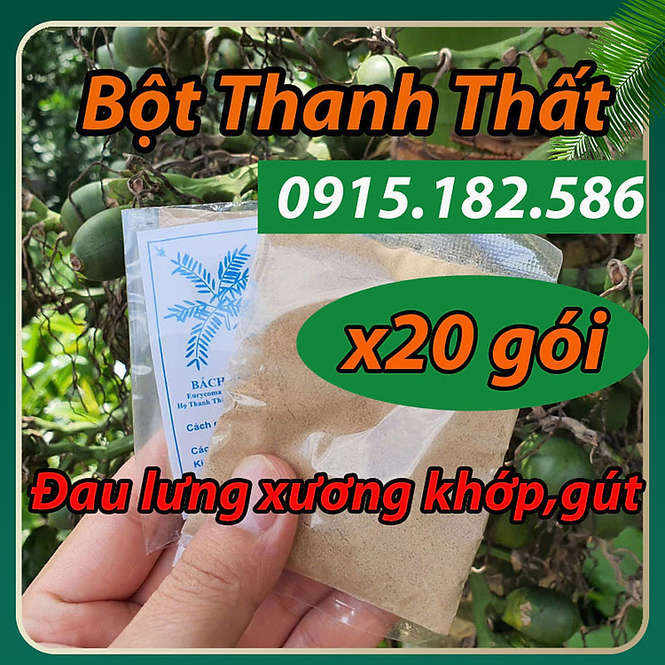 Combo 20 gói bột cây mật nhân Họ Thanh Thất Hòa Bình