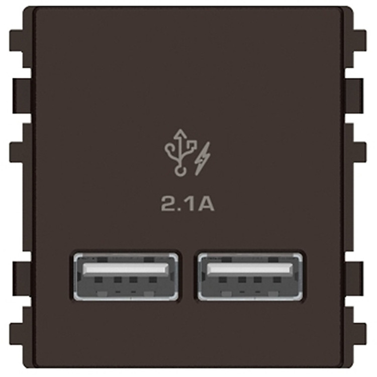 Ổ sạc USB 2.1A đôi Schneider Electric dòng ZENCELO A (Size 2S)