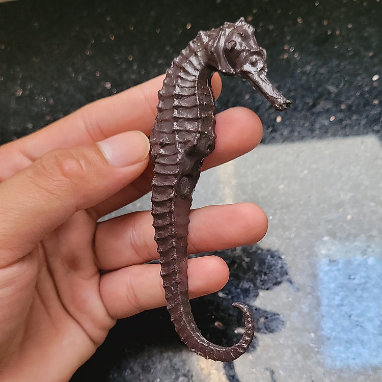 Mua Mô hình Cá Ngựa Hippocampus 11.5 cm Chính hãng Ưu đãi - Hình ảnh 5