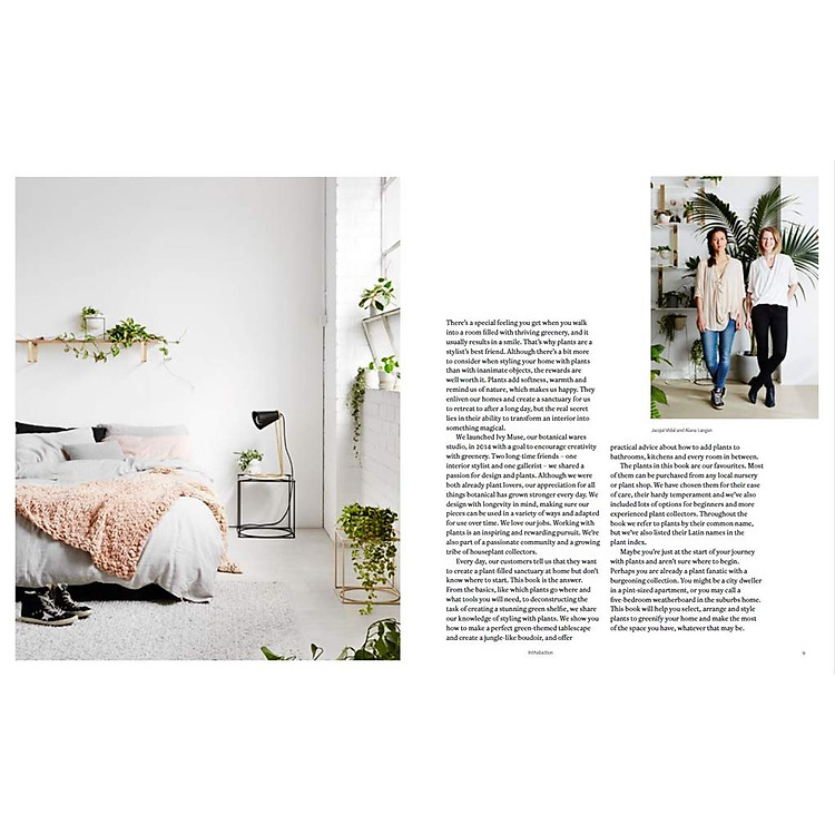 Plant Style: How To Greenify Your Space - Ảnh 2