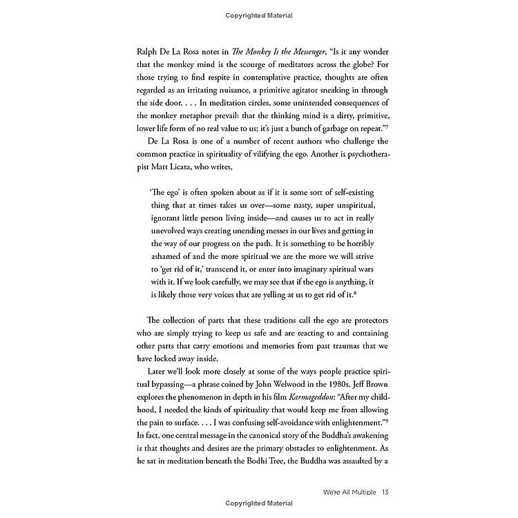 No Bad Parts: Healing Trauma And Restoring Wholeness With The Internal Family Systems Model - Ảnh 7