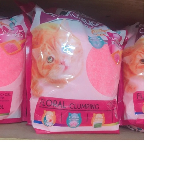 Cát vệ sinh cho mèo