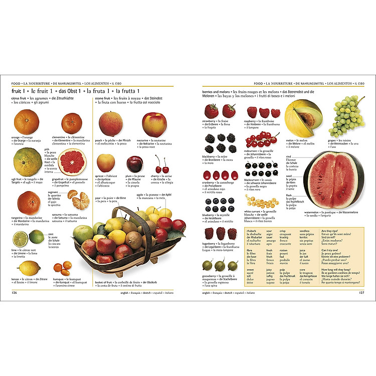 5 Language Visual Dictionary - Ảnh 2