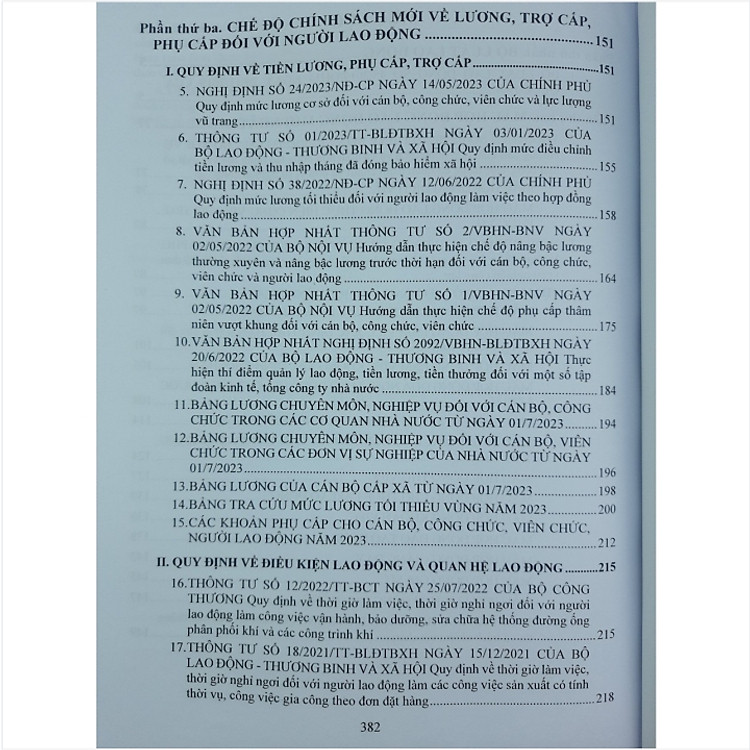 Bộ Luật Lao Động - Mẫu Hợp Đồng Lao Động - Chế Độ Chính Sách Tiền Lương, Tiền Thưởng - Ảnh 4