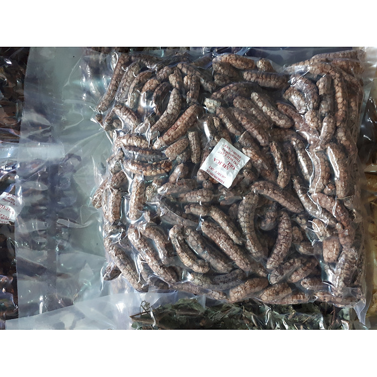 Đặc Sản Kon Tum - (Được Xem Hàng) 1Kg Chuối Hột Rừng Loại 1 (Loại Mật Chín Cây, Rất Thơm Và Ngọt) Đóng Gói Hút Chân Không - OCOP 3 Sao