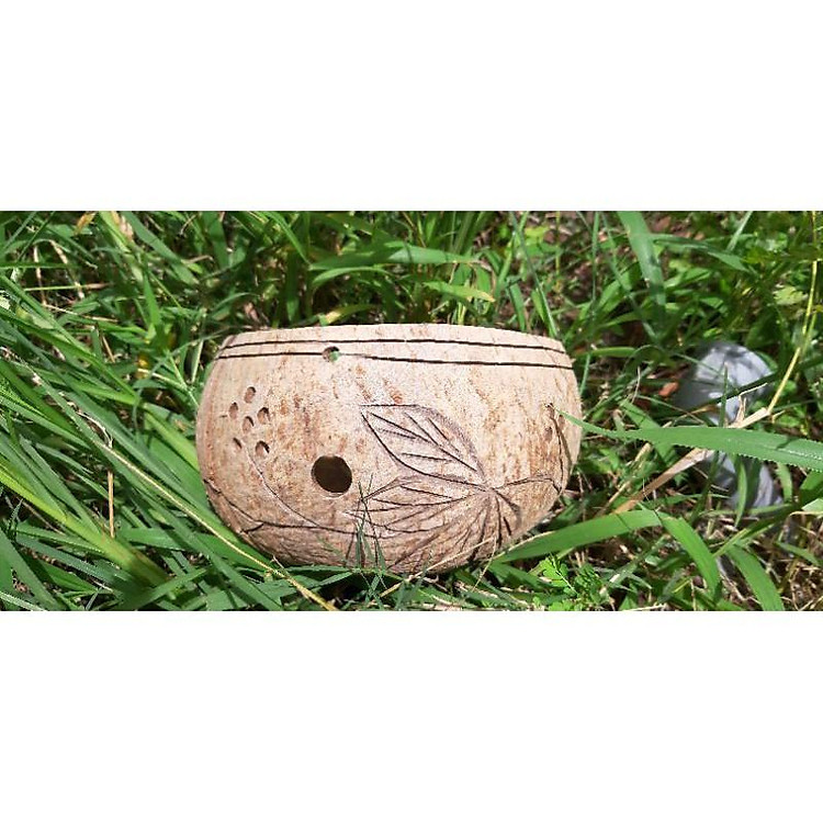 Gáo Dừa Khắc Hoa Văn Siêu To/Vip/ 15cm-17cm /Trồng Lan/Trồng Cây