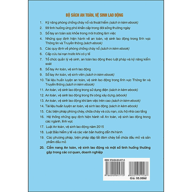 Cẩm Nang An Toàn, Vệ Sinh Lao Động Và Một Số Tình Huống Thường Gặp Trong Các Cơ Quan, Doanh Nghiệp - Ảnh 2