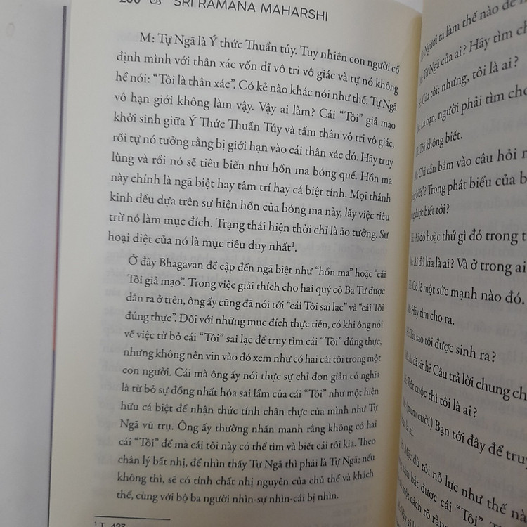 Tôi Là Ai? - Đạo sư Ramana Maharshi - Ảnh 3