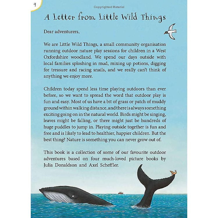 The Snail And The Whale And Friends Outdoor Activity Book - Ảnh 6
