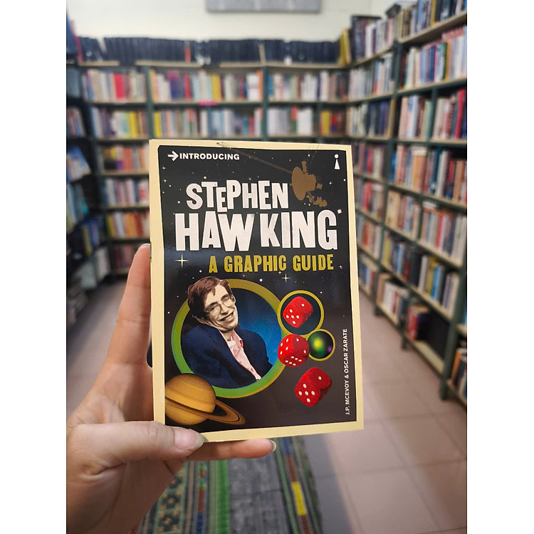 Introducing Stephen Hawking: A Graphic Guide - Ảnh 4