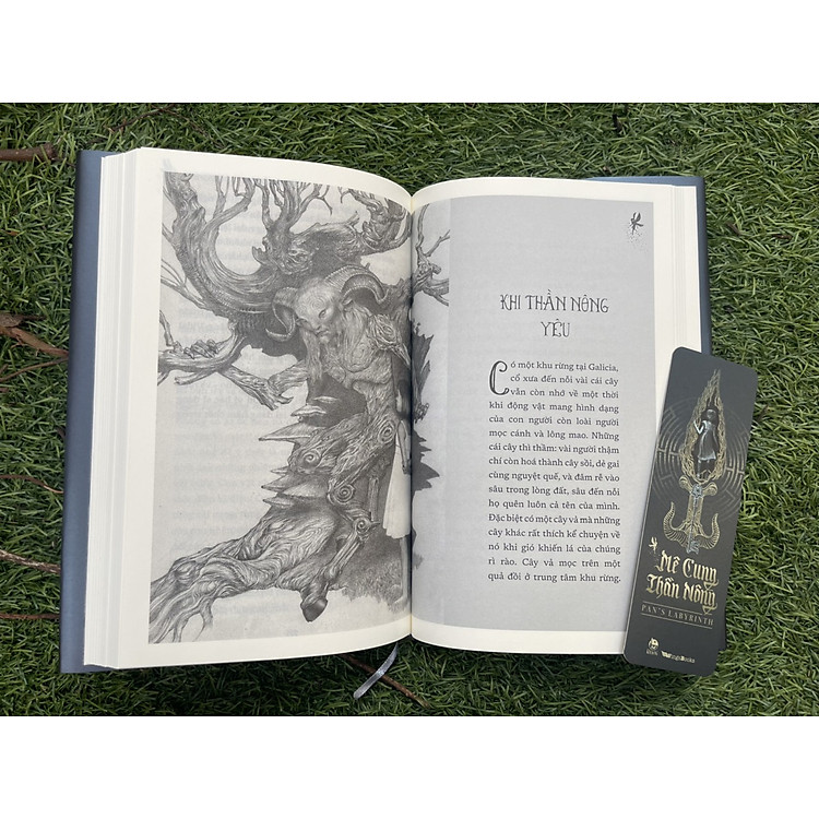 MÊ CUNG THẦN NÔNG – Pan’s Labyrinth - Ảnh 5