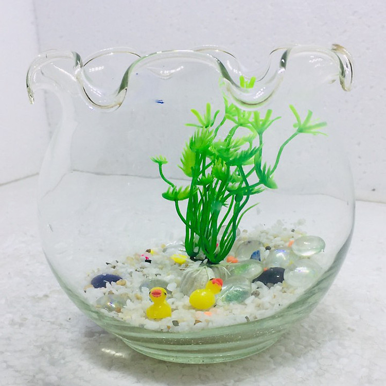 Bể cá mini để bàn tai bèo có phụ kiện