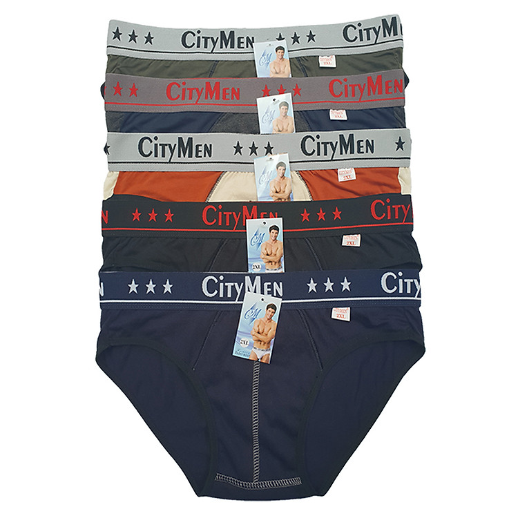 Combo 5 Quần Lót Nam vải cotton 2 chiều lưng CITYMEN, màu ngẫu nhiên, đồ lót - LMTK-CTM2C