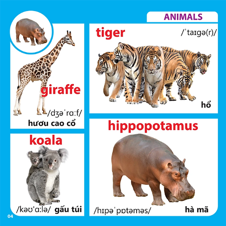 Bách Khoa Toàn Thư Cho Bé - Động Vật (Tái Bản 2019) - Ảnh 4