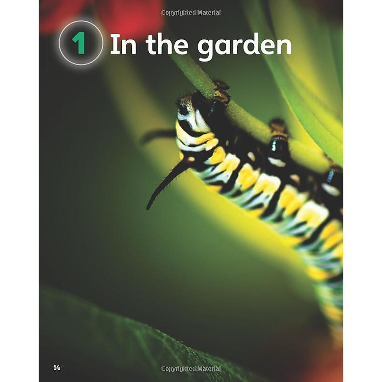 Guess What! Level 3 Pupil's Book British English - Ảnh 3