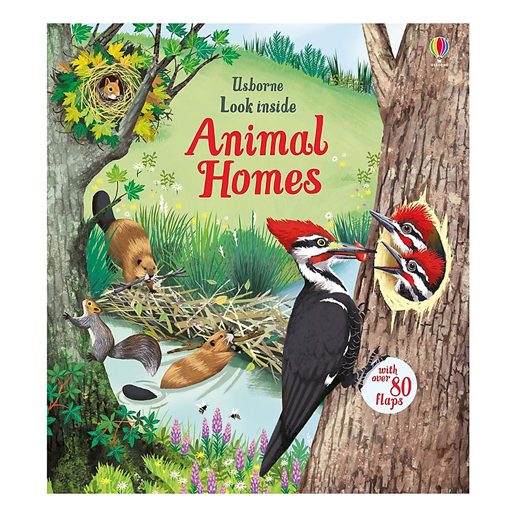 Sách Usborne Look Inside: Animal Homes