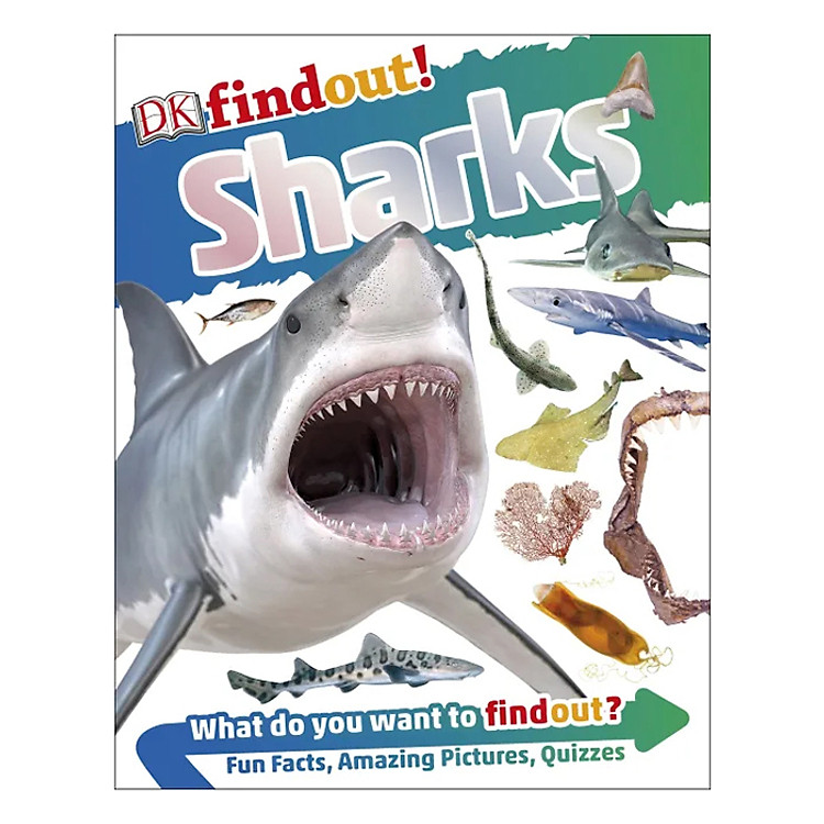 Sách DKfindout! Sharks