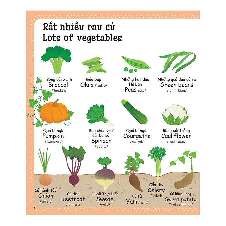 Từ Vựng Đầu Tiên Của Tôi - My First Word Book - Thức Ăn - Ảnh 2