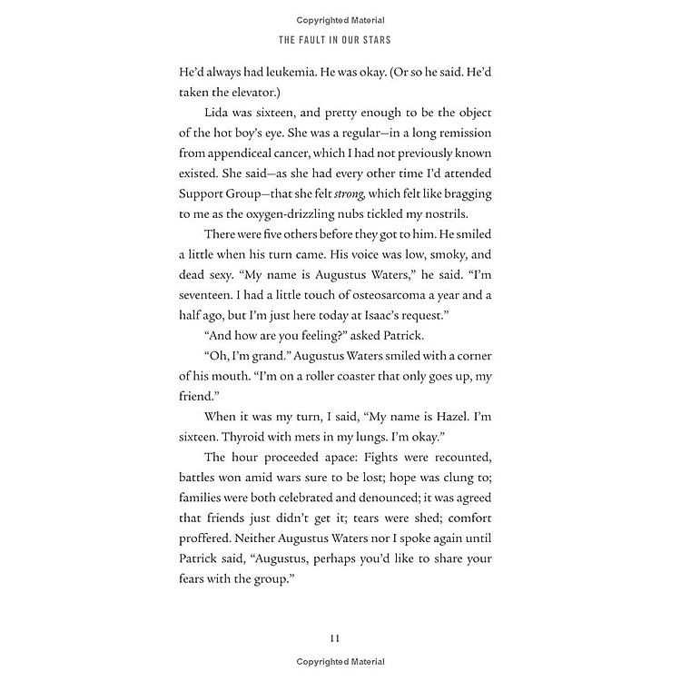 The Fault In Our Stars - Ảnh 6