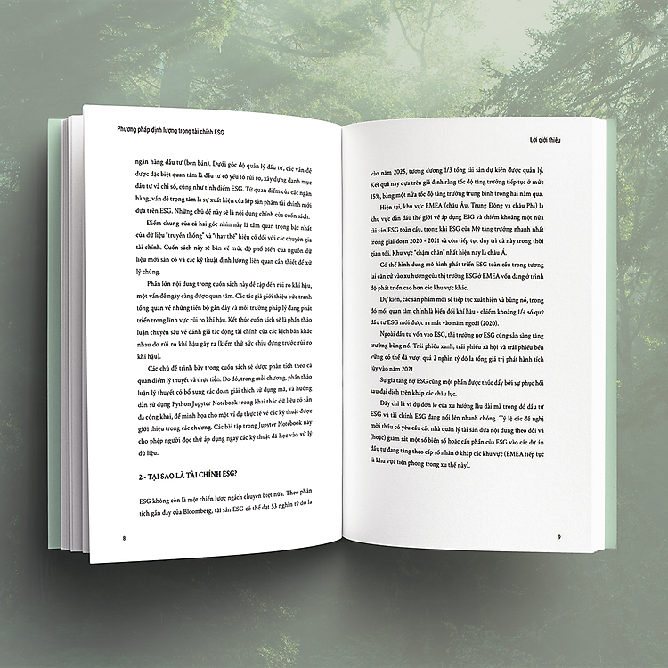 Phương Pháp Định Lượng Trong Tài Chính ESG - Quantitative Methods For ESG Finance - Ảnh 6