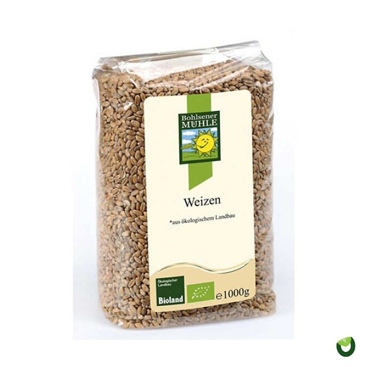 Hạt lúa mì hữu cơ Weizen 1kg Bohlsener Muhle