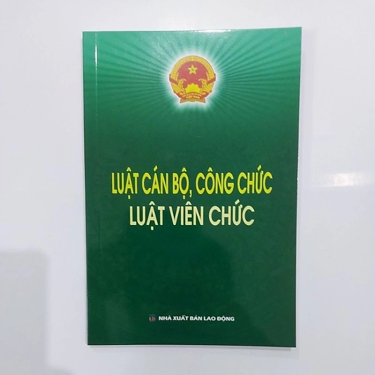 Luật cán bộ, công chức, Luật viên chức
