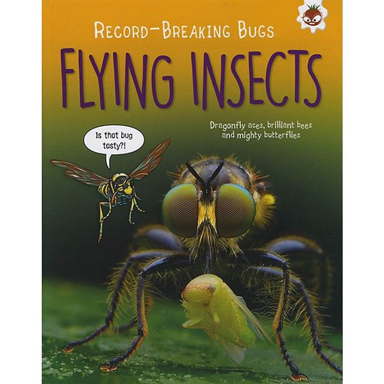 Record Breaking Bugs: Flying Insects