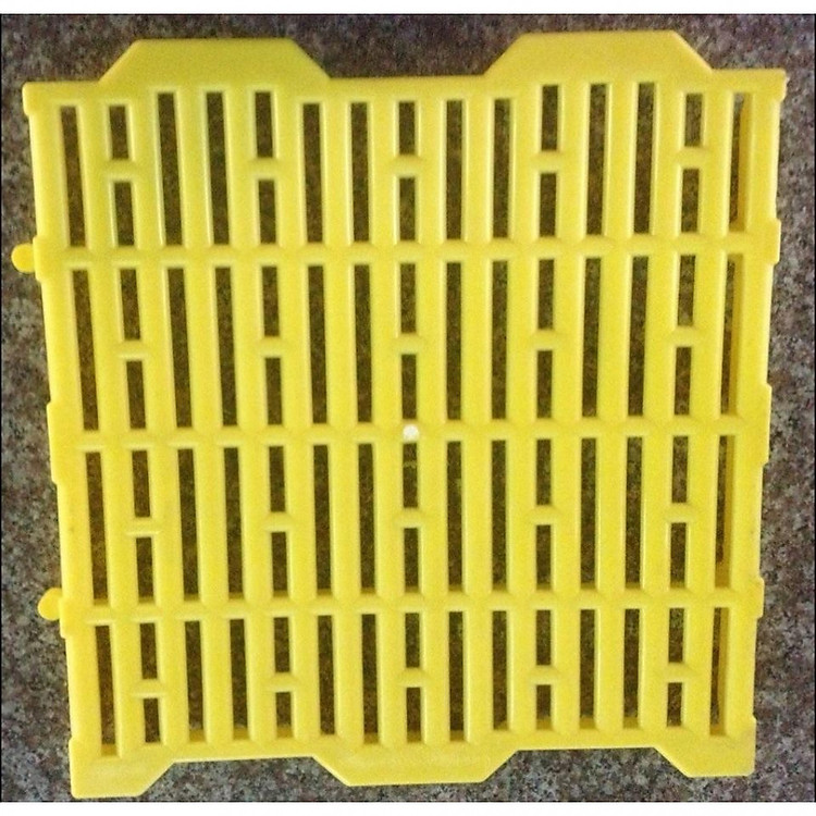 Tấm lót sàn nhựa cho chó mèo