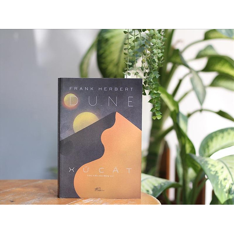 Xứ Cát (Dune) (TB 2021) - Ảnh 3