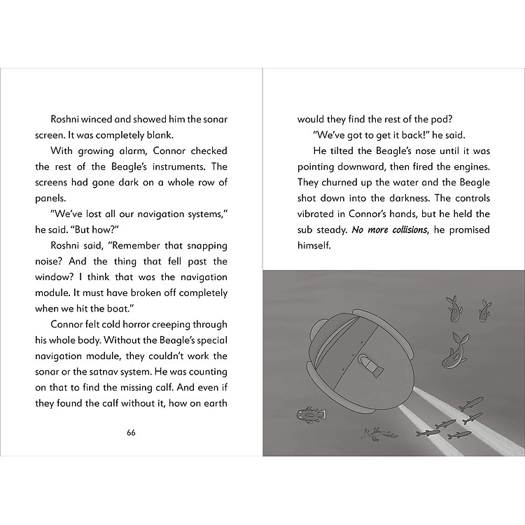 The Secret Explorers And The Lost Whales - Ảnh 7