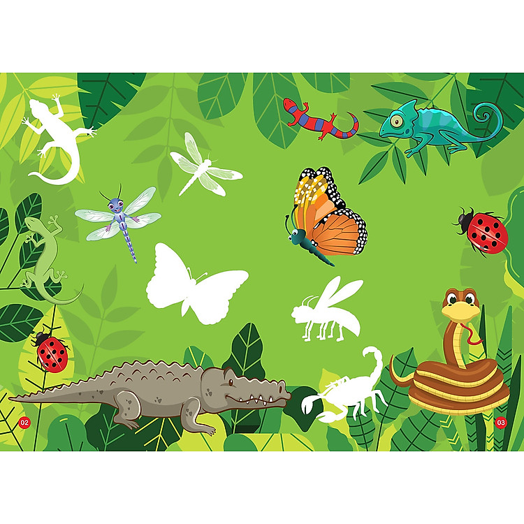 Sticker dán hình thông minh – Côn Trùng, Bò Sát, Lưỡng Cư