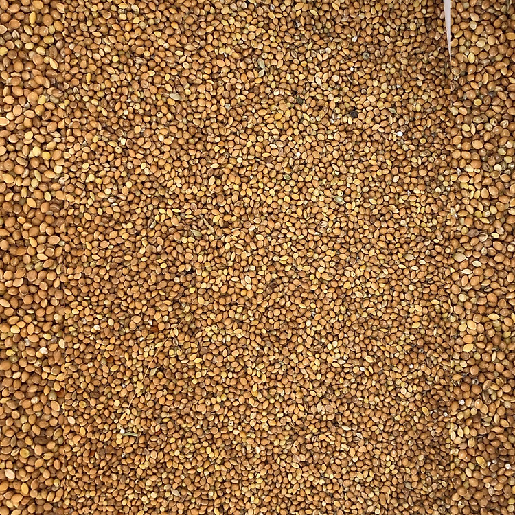 KÊ BÓNG VÀNG CHO CHIM CẢNH, VẸT (túi 1000g)