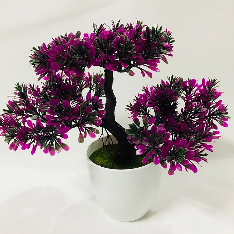 Chậu Bonsai nhựa 3 nhánh dáng Xòe các màu