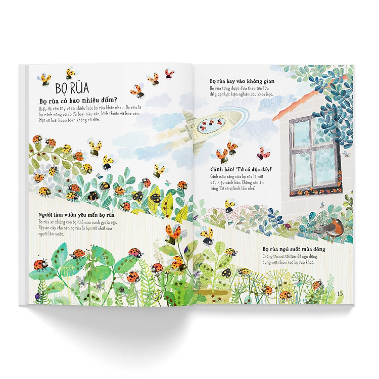 Sách - A Lê Hấp! Thế Giới Bọ - Ảnh 4