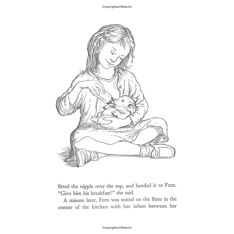 Truyện đọc tiếng Anh - Charlotte's Web - Ảnh 5