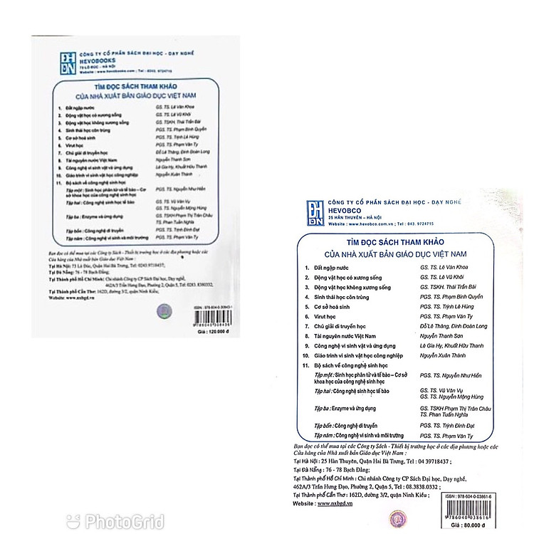 Động Vật Học Không Xương Sống - Ảnh 7