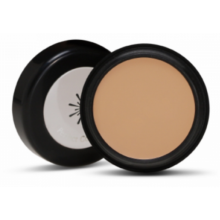 Kem Che Khuyết Điểm The Style Perfect Concealer Natural Beige Missha M8132 (3g)