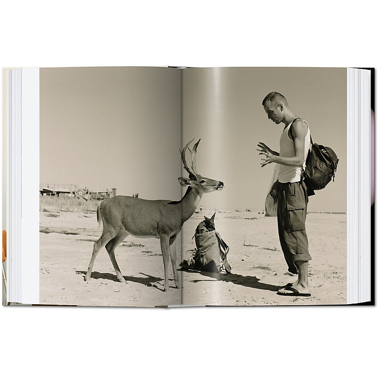 Wolfgang Tillmans: four books - Ảnh 5