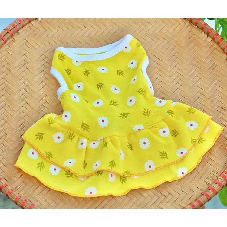 ĐẦM HOA CÚC TƯƠI MÁT DỄ THƯƠNG TỪ 0.5-12KG DÀNH CHO THÚ CƯNG CHÓ MÈO
