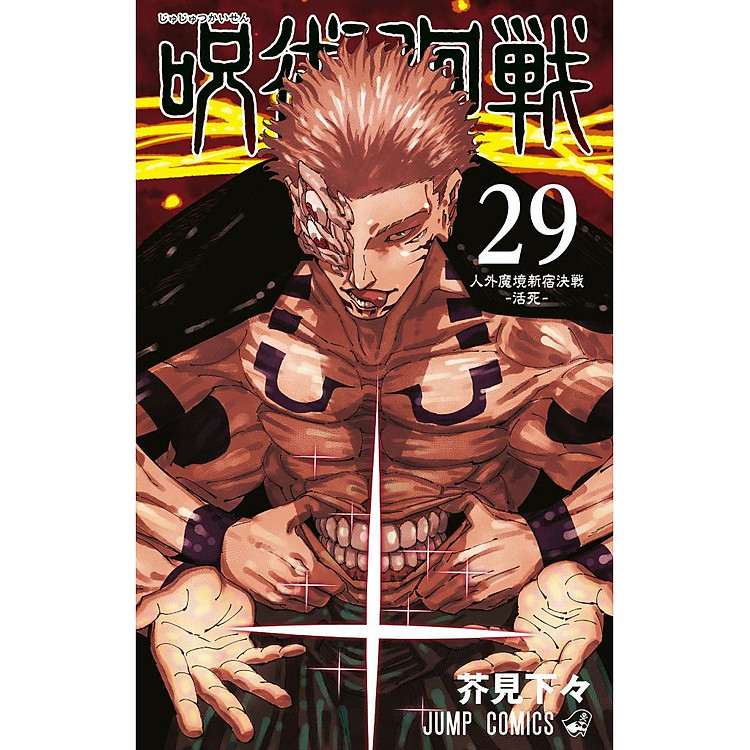Sách ngoại văn: Jujutsu Kaisen 29 (Japanese Edition)