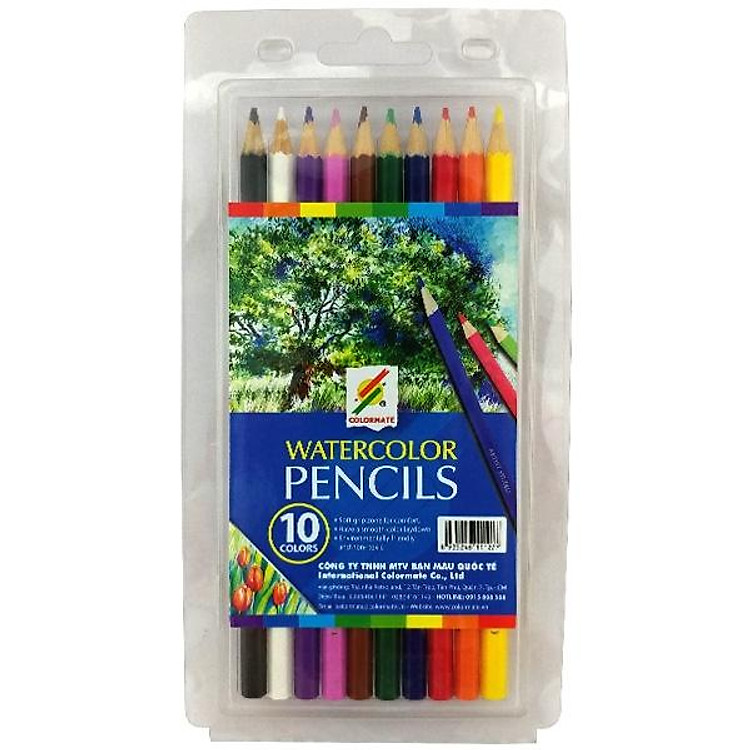 Hộp Nhựa 10 Cây Bút Chì Màu Nước Artist MS-10Art-PW