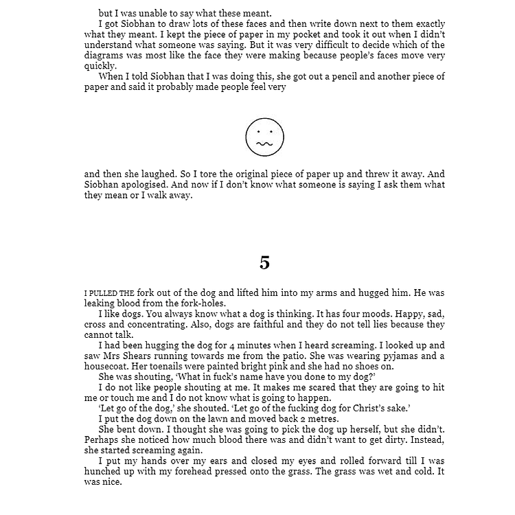 The Curious Incident of the Dog in the Night-time - Ảnh 5