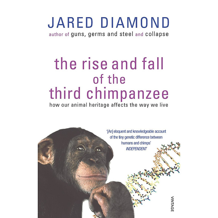 The Rise and Fall of the Third Chimpanzee